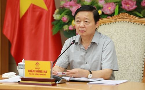 Phó Thủ tướng: Cần triển khai đồng bộ, bài bản, chặt chẽ lộ trình thị trường carbon